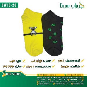 SW13-20