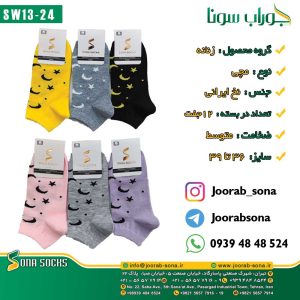 SW13-24