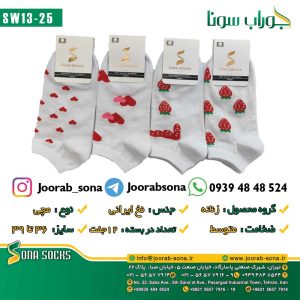 SW13-25